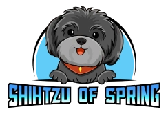 logo (2)